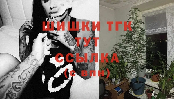 прущие крисы Магас