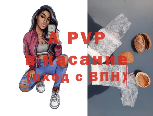 прущие крисы Магас