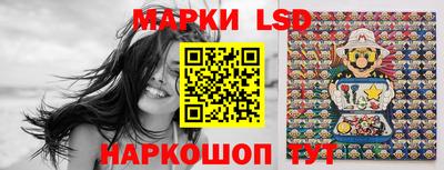 сатива Новодвинск