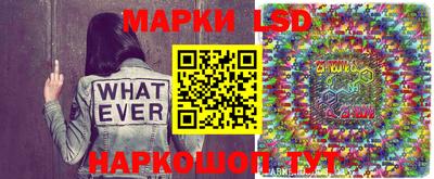сатива Новодвинск
