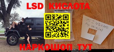 сатива Новодвинск