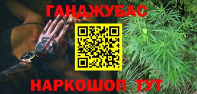 сатива Новодвинск