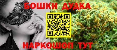 сатива Новодвинск