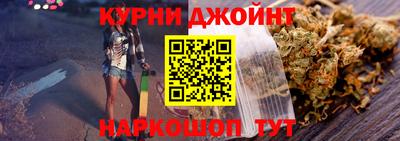 сатива Новодвинск