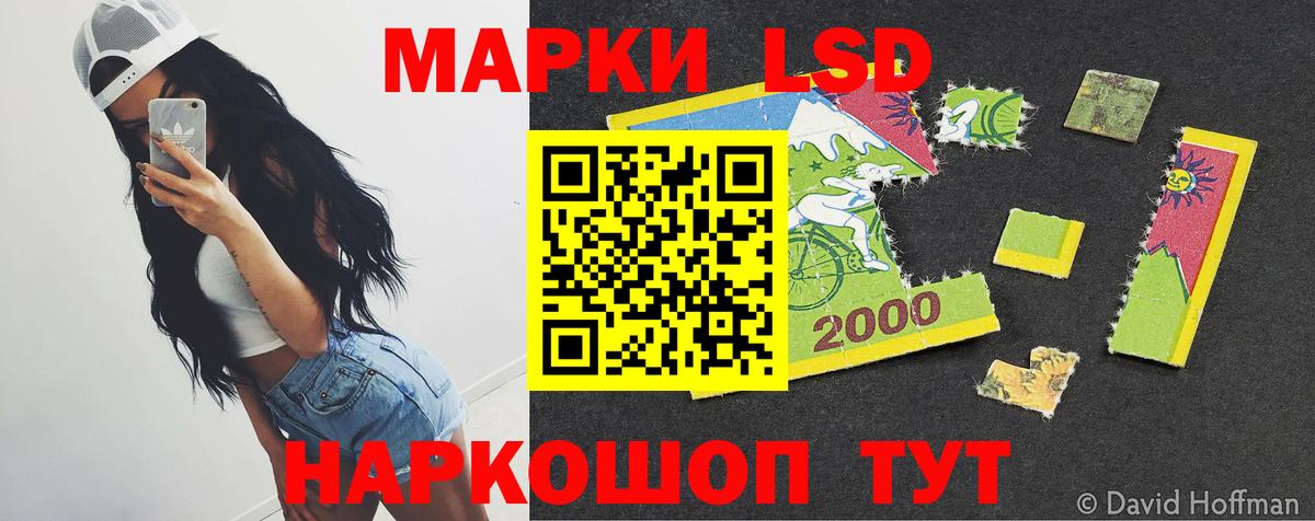 ЛСД экстази кислота  LSD-25 экстази кислота  Сальск  Вход с VPN 
