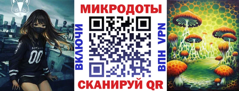 Галлюциногенные грибы мицелий  omg ССЫЛКА  Сальск 