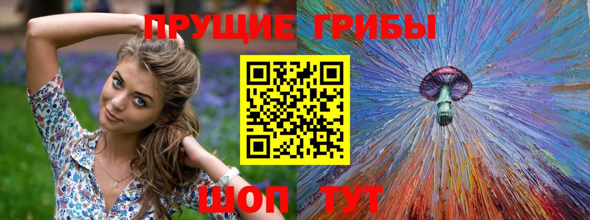Галлюциногенные грибы Cubensis  Вход с VPN  что такое наркотик  Галлюциногенные грибы мухоморы  Сальск 
